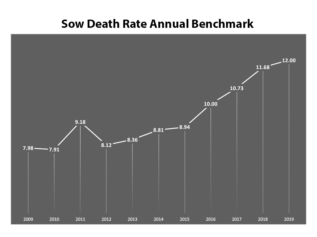 SowDeathRate2020